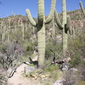 Tucson-Esperero Trail 04